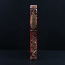 1880 Glimpses Of Nature Science & Art For The Young Antique Natural History Book-2