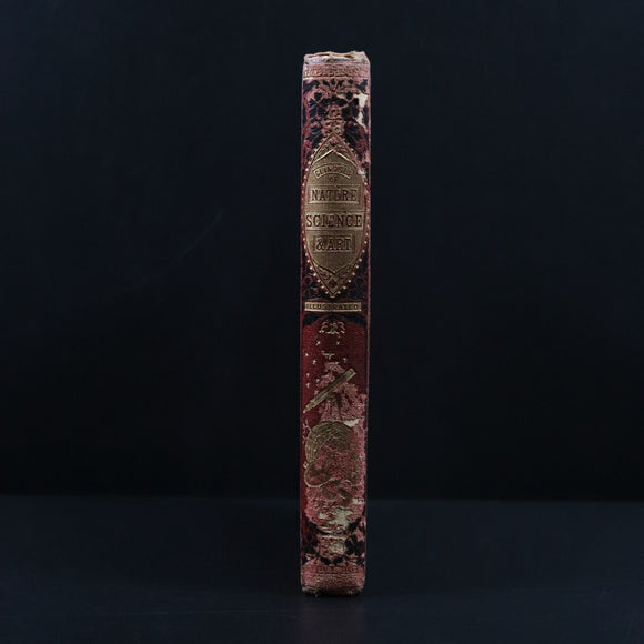 1880 Glimpses Of Nature Science & Art For The Young Antique Natural History Book