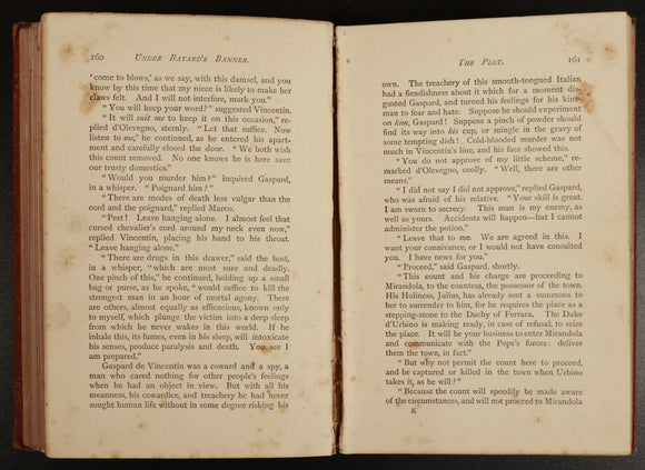 1886 Under Bayard's Banner by Henry Frith Antique Illustrated Irish Fiction Book