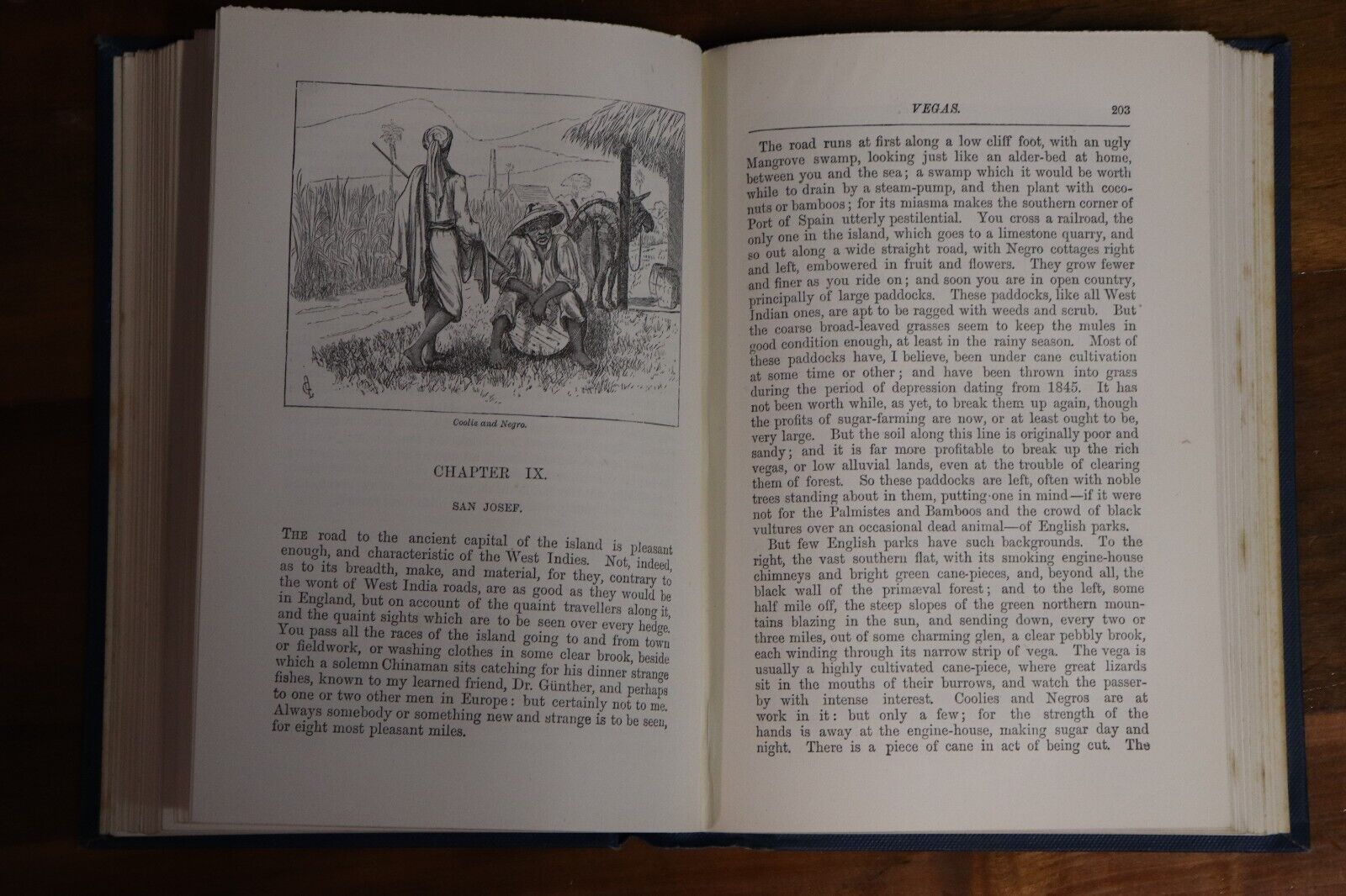 1885 At Last: Christmas In The West Indies Antique Travel & Exploration Book