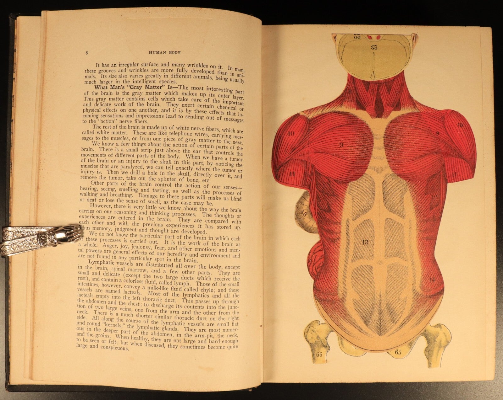 Vitalogy Encyclopedia Of Health & Home 1927 Antique Medical Reference Book