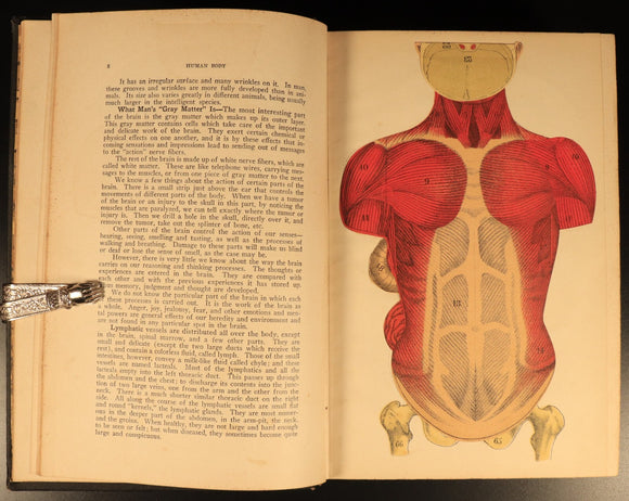 Vitalogy Encyclopedia Of Health & Home 1927 Antique Medical Reference Book