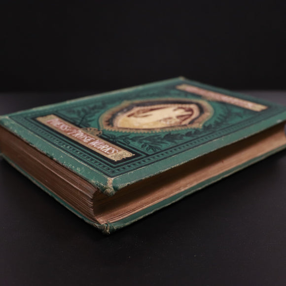 25016f20-145a-4efb-9651-1271bcfe52c0