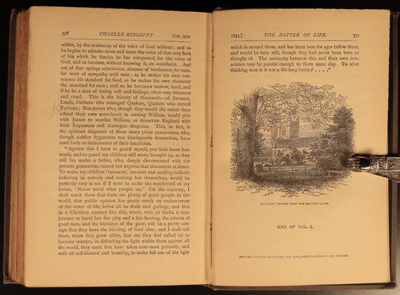1891 Charles Kingsley Letters & Life British Religious History & Biography Books