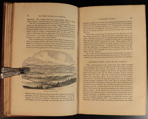 2558324e-d344-4113-908b-b870dffcaf04