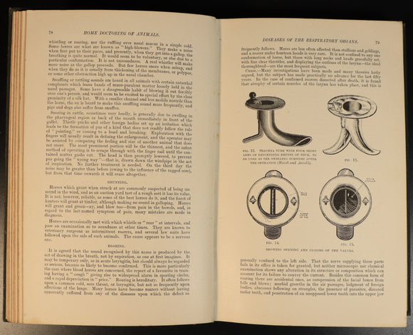 25bb4d79-6176-4108-93c9-e9afdf6e7e03