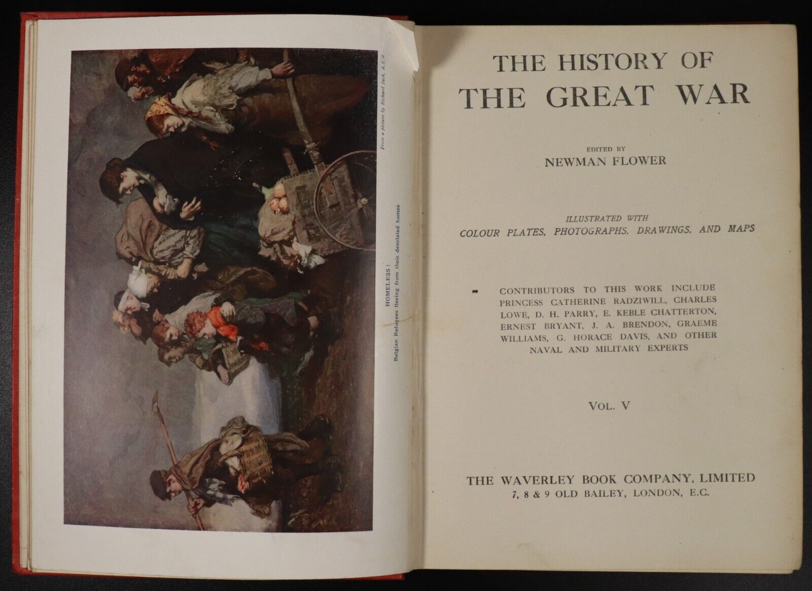 1915-22 8vol History Of The Great War Newman Flower Military History Books WW1