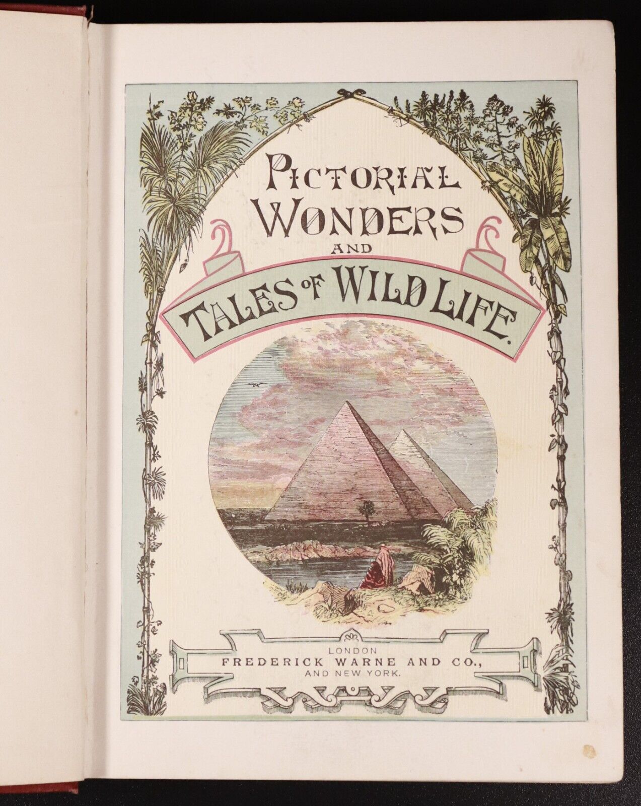 c1880 Pictorial Wonders & Tales Of Wild Life Antiquarian Natural History Book