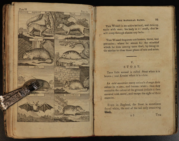 26b923a6-9fe1-4c53-babc-d1d4526639ac