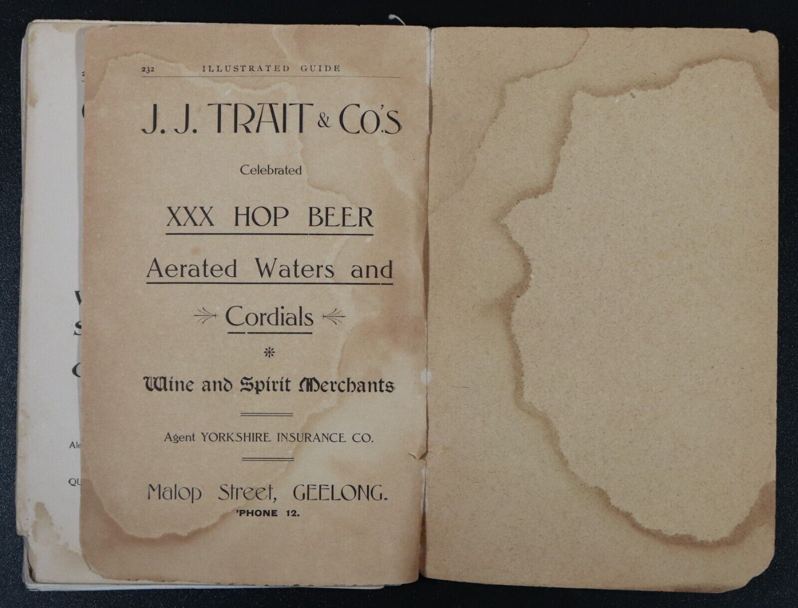 1908 Illustrated Guide To Geelong & District Australian Antique History Book