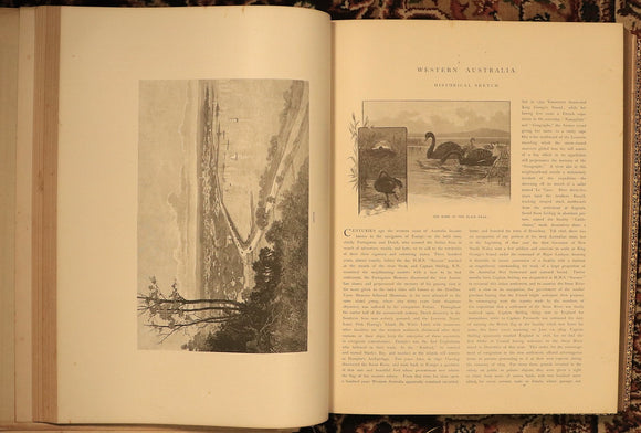 270429ca-1ad1-48a4-ba17-1175ca8c5899