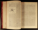 1895 Chambers's Encyclopaedia Vol. X Antique History Book With Maps Leather-14