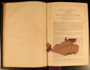 1853 The Prince James Holy Bible Antiquarian Bible With Ephemera Postcards etc-7