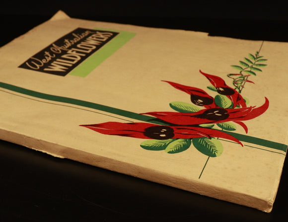 1951 West Australian Wild Flowers by C.A. Gardner Vintage Botanic Reference Book