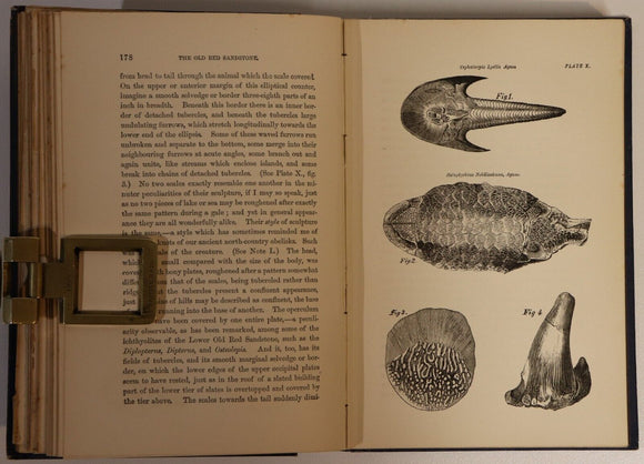 1892 The Old Red Sandstone by Hugh Miller Antique Scottish History Book