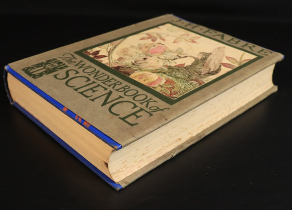 281d42b9-78f5-48e6-853a-27ca9e361f97