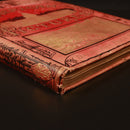 c1885 American Pictures In Pen & Pencil Antique Picturesque Book Samuel Manning-16