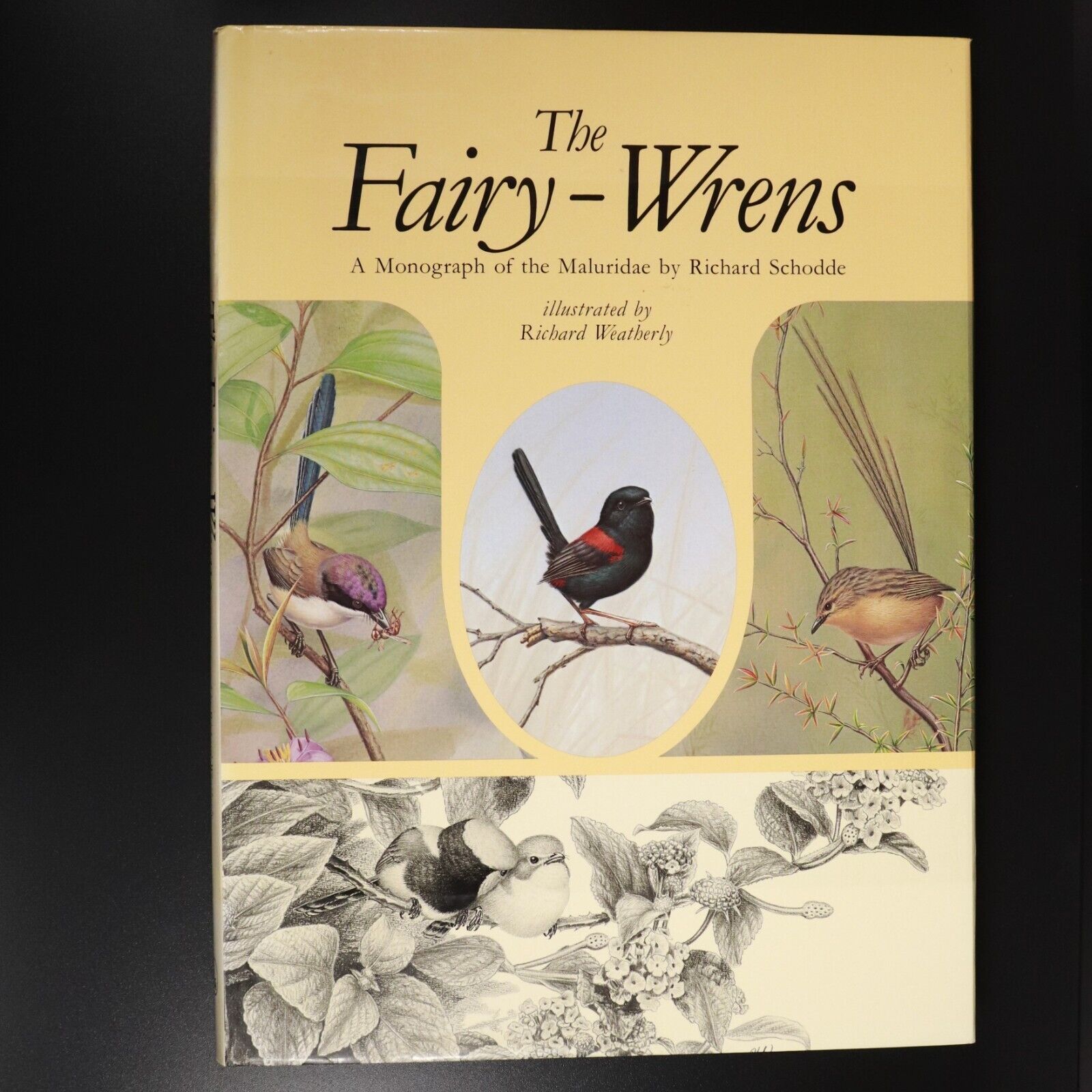 1982 The Fairy-Wrens by Richard Schodde Australian Wildlife Bird Reference Book