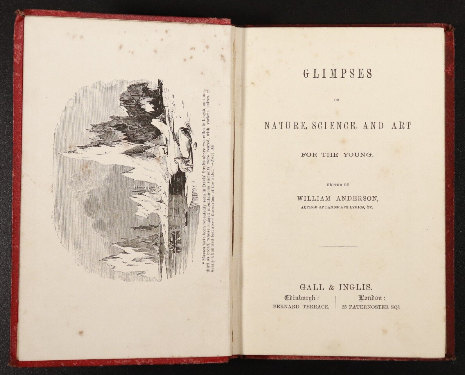 1880 Glimpses Of Nature Science & Art For The Young Antique Natural History Book