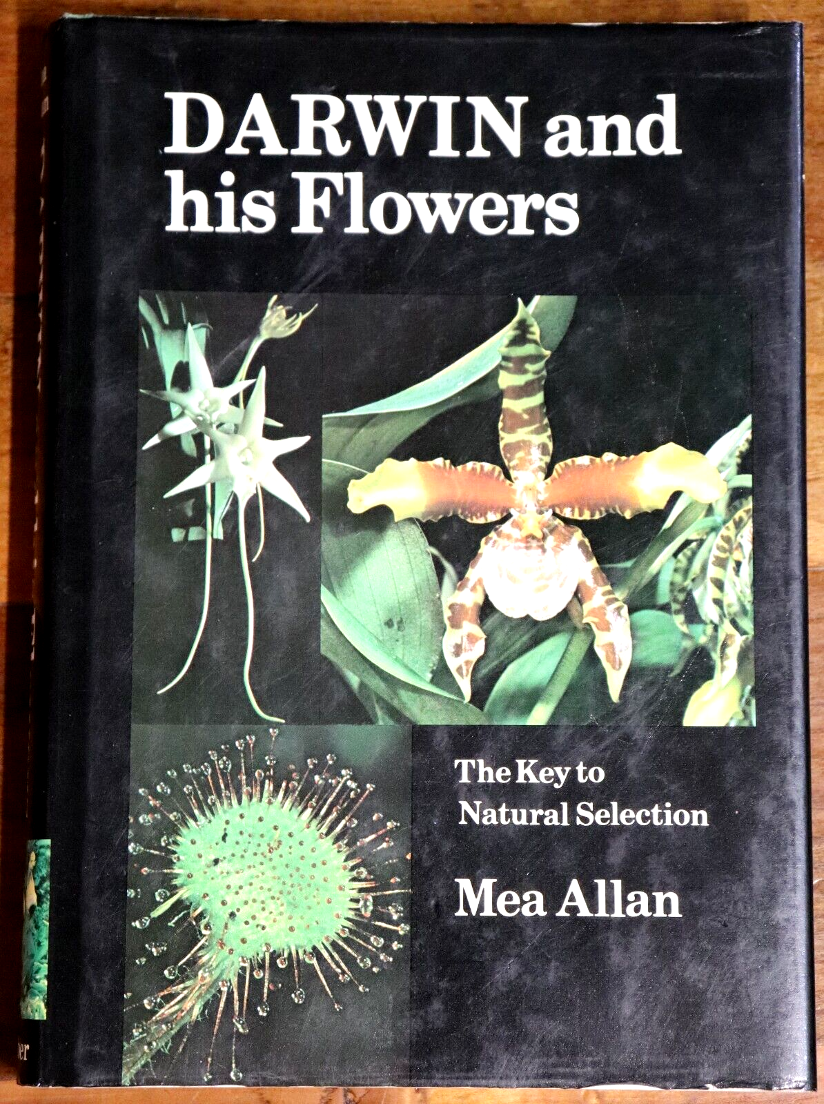 Darwin & His Flowers - Natural Selection - 1977 - Charles Darwin Science Book