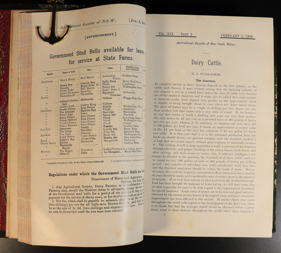 2af7dd68-1d3a-4654-a612-a6daa489bf82