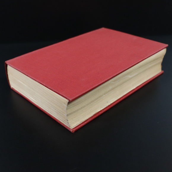 c1920 Dombey & Son by Charles Dickens Antique British Fiction Book Fireside