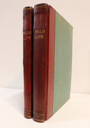 1946 2vol Wildlife: Australian Nature Magazine Antique Natural History Books-1