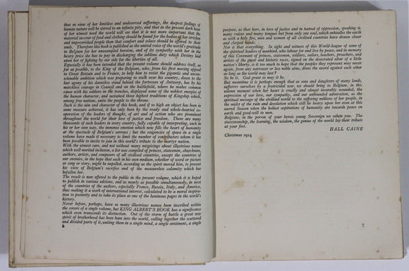 1915 King Albert's Book - Tribute To Belgian King Antique History & Art Book