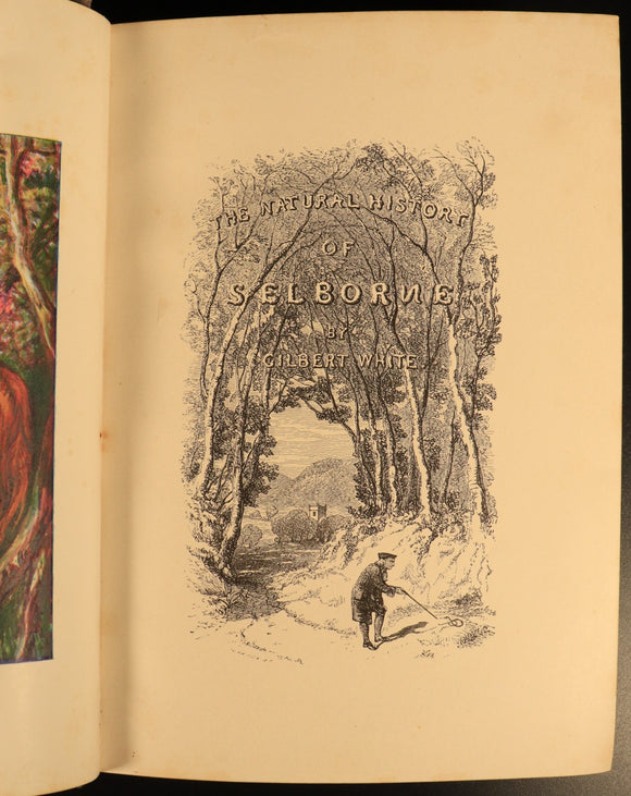 2c78f4fe-c7ce-4bc5-b9aa-d8c020acfc59