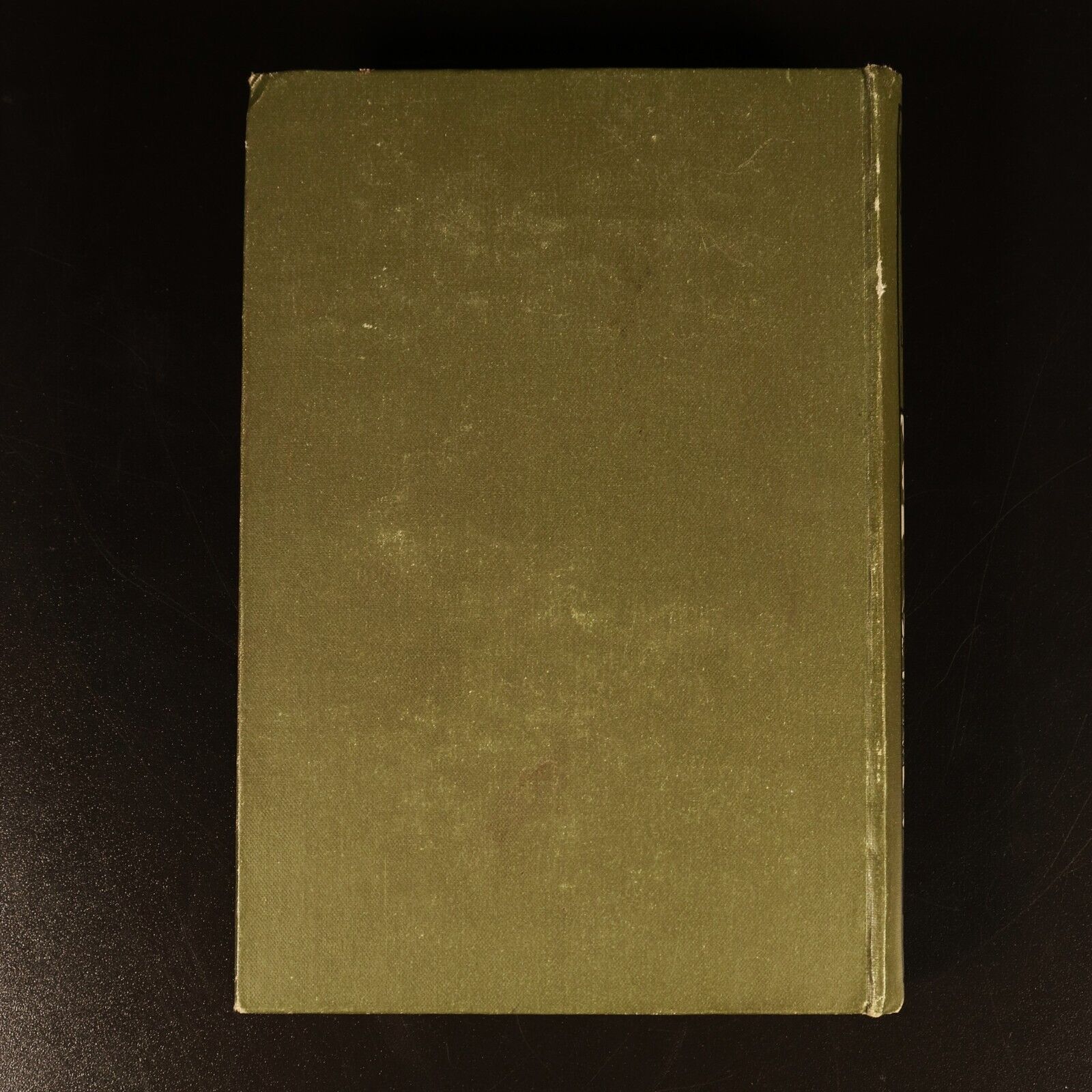 1907 Waste Castle by Winifred M. Letts Antique Fiction Book Illustrated 1st Ed