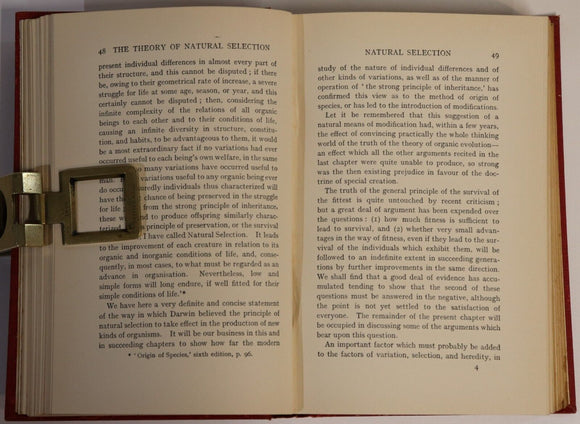 1909 Study Of Variation Heredity & Evolution Antique Medical Science Book