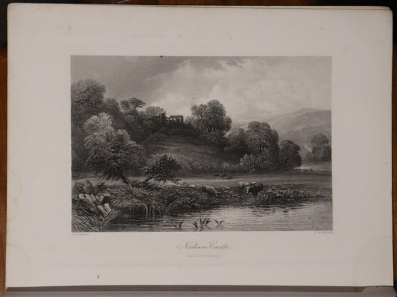 c1875 Picturesque Europe - Division 6 Rare Antiquarian Engravings Plates Book