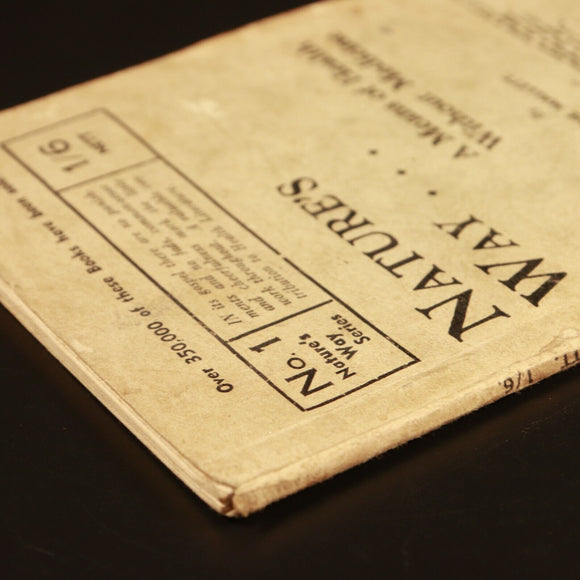 c1920 Nature's Way Health Without Medicine Antique Australian Health Book