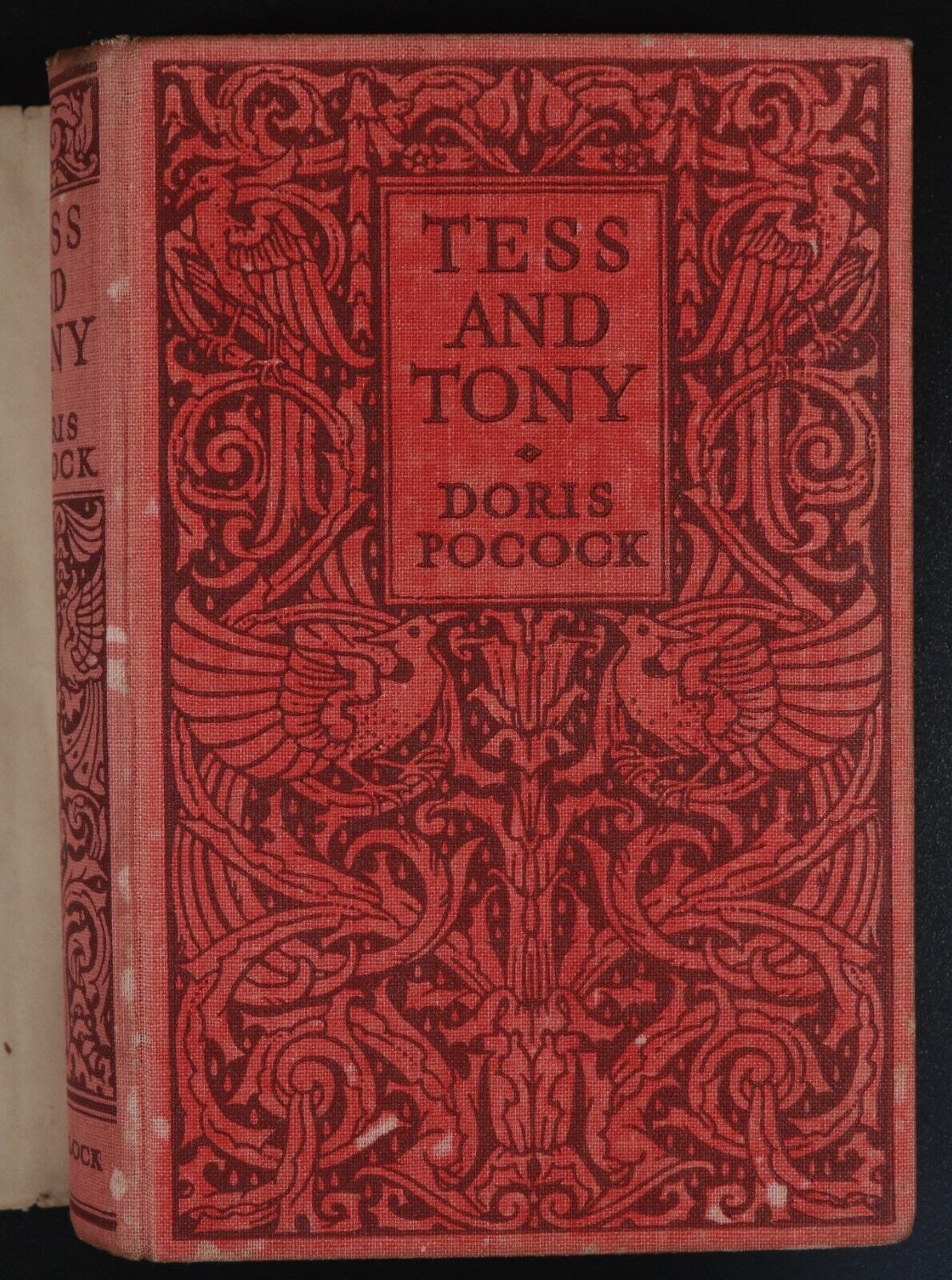 c1925 Tess & Tony by Doris A. Pocock Antique British Childrens Fiction Book