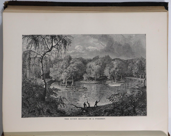 2dadd0bf-42eb-4555-9b4e-10e366d05817