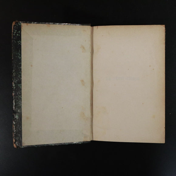 1923 Le Petit Chose by Alphonse Daudet Antiquarian French Fiction Book