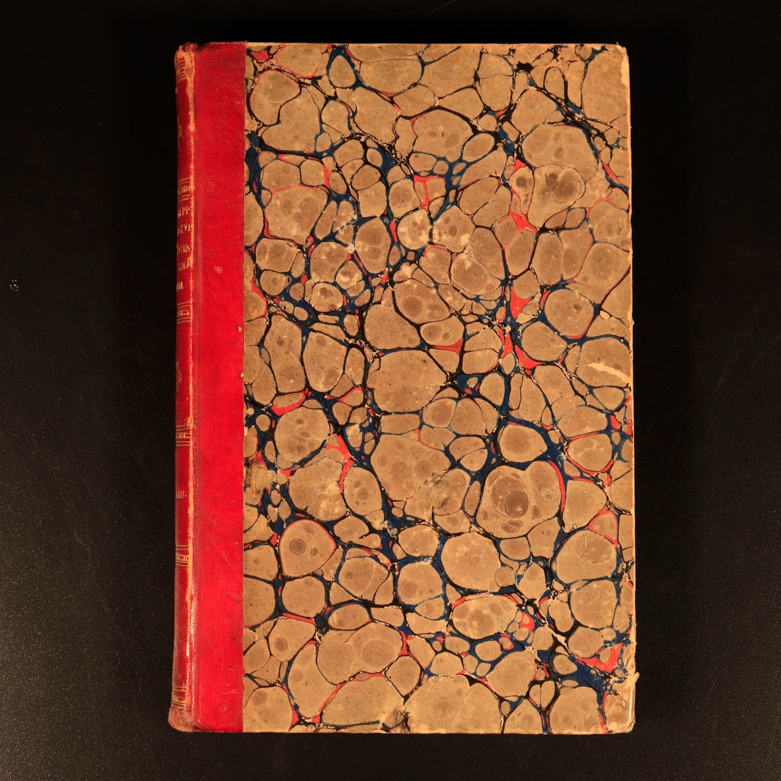 2fea95fd-b9b7-4046-9033-23589929a581