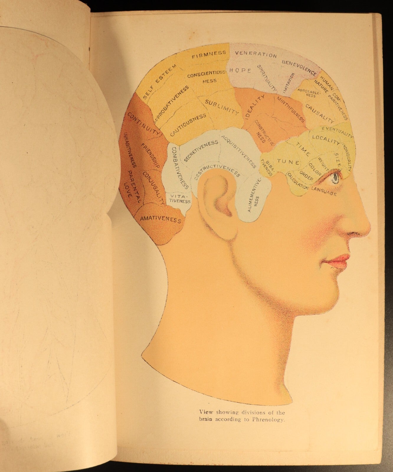Vitalogy Encyclopedia Of Health & Home 1927 Antique Medical Reference Book