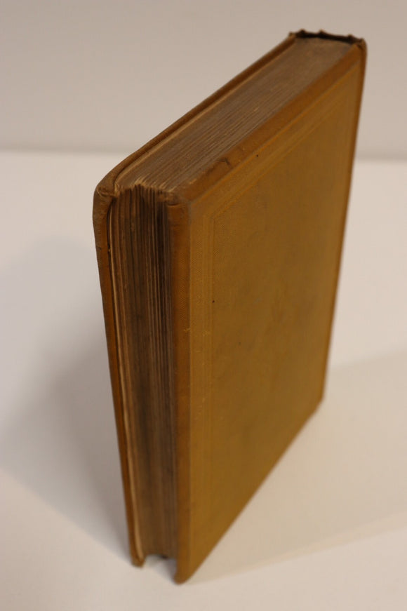 312c7c53-f8ce-4178-9c1f-2973957a4a24