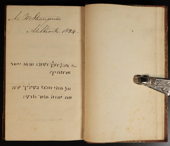 3136560b-4974-45c0-8948-d166fdebf210