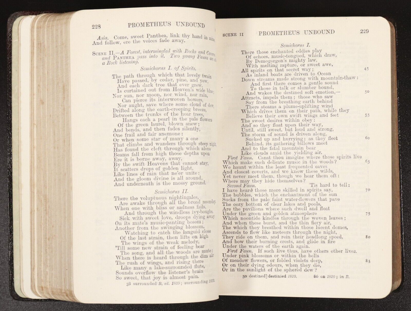 1921 The Poetical Works Of Percy Bysshe Shelley Antique Poetry Book Oxford Ed.