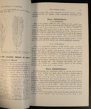 31f97251-36eb-4240-b140-4f276068ceac