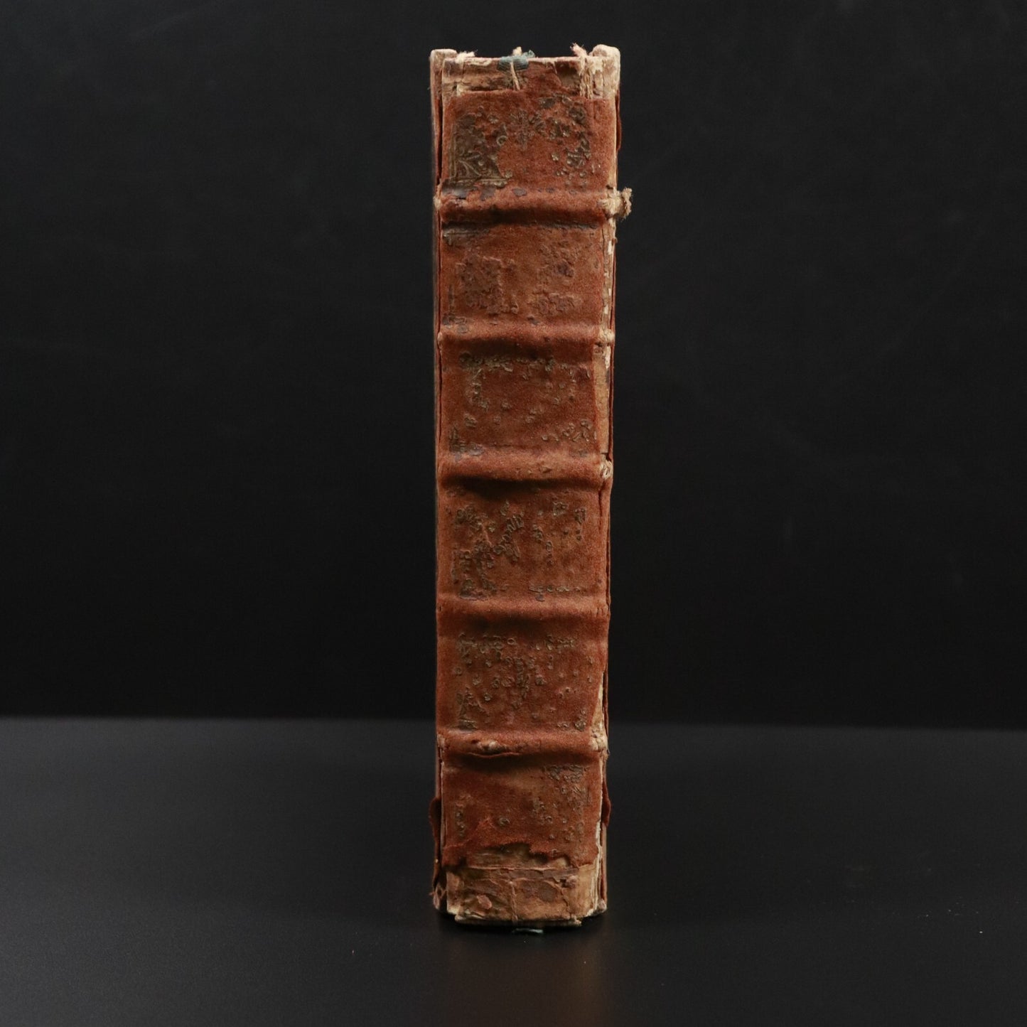 320f782c-4587-441b-917d-a802c85615e2