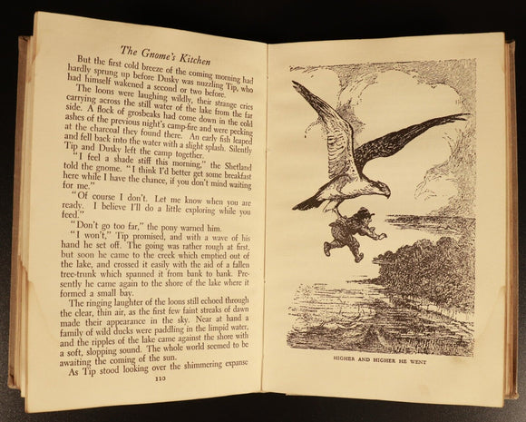 1946 The Gnome's Kitchen Frances Lloyd-Owen Antique Illustrated Childrens Book