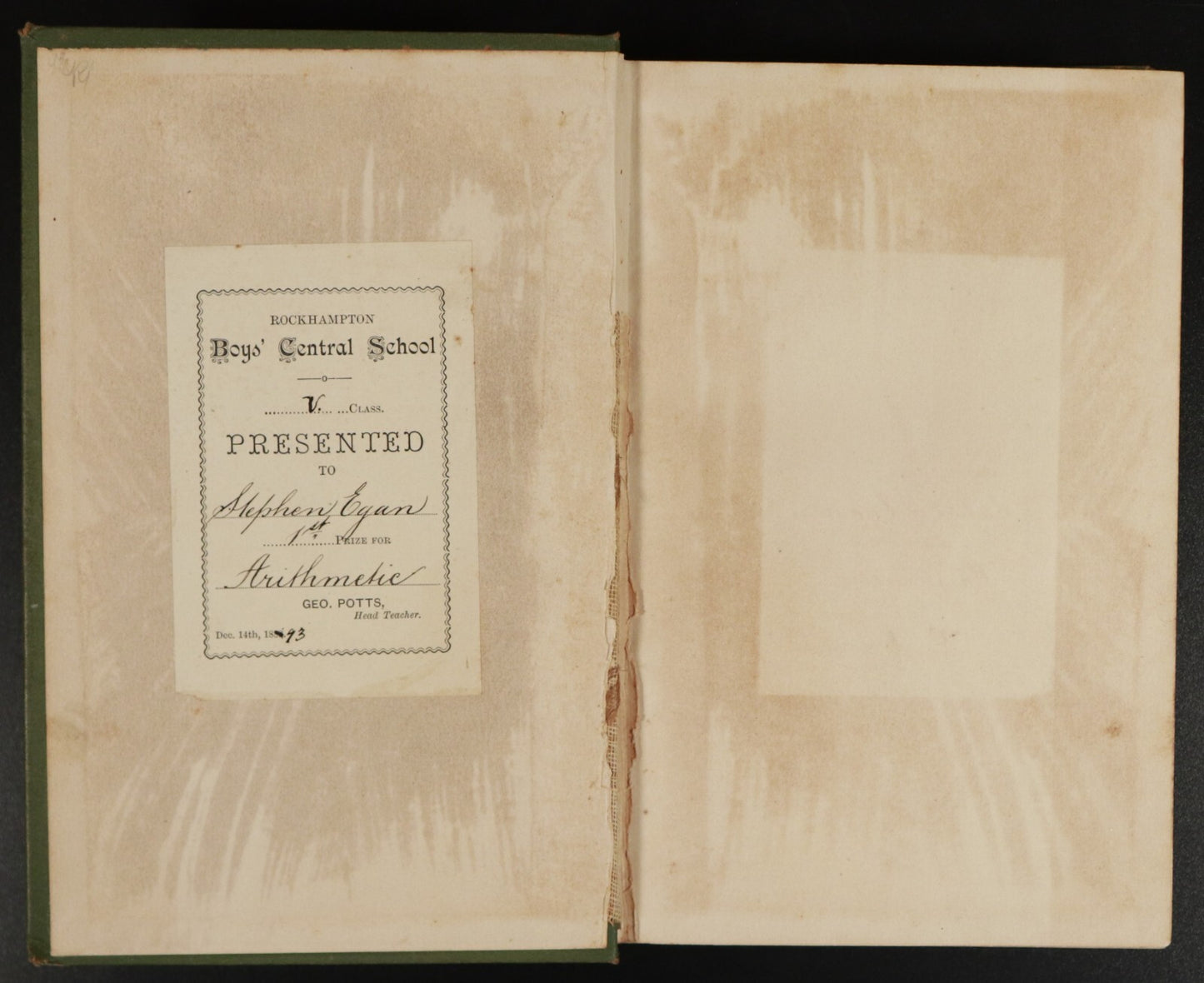 3238d805-5978-497f-89df-dc0c1cd4034a