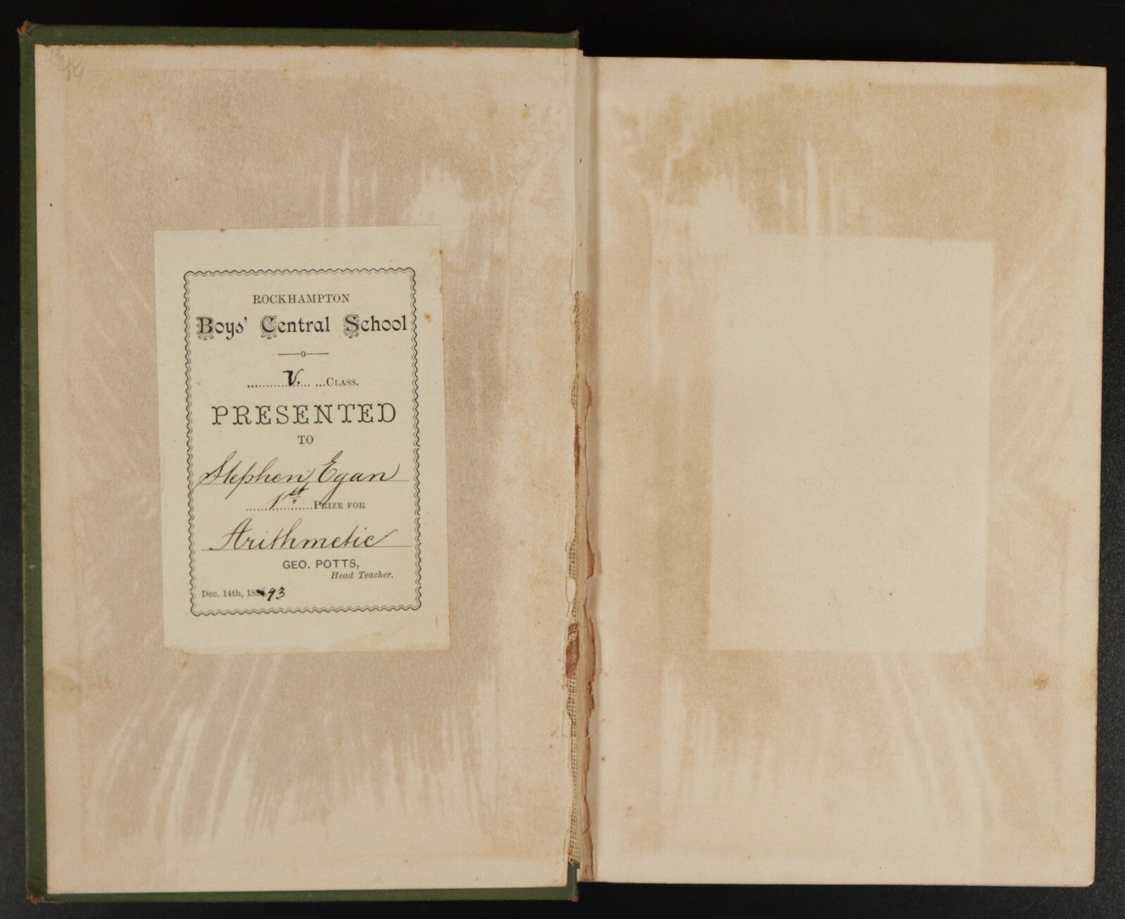 3238d805-5978-497f-89df-dc0c1cd4034a