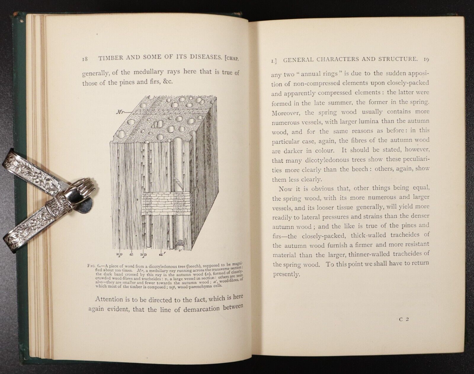 1889 Timber & Some Of Its Diseases Antique Reference Book by H. Marshall Ward