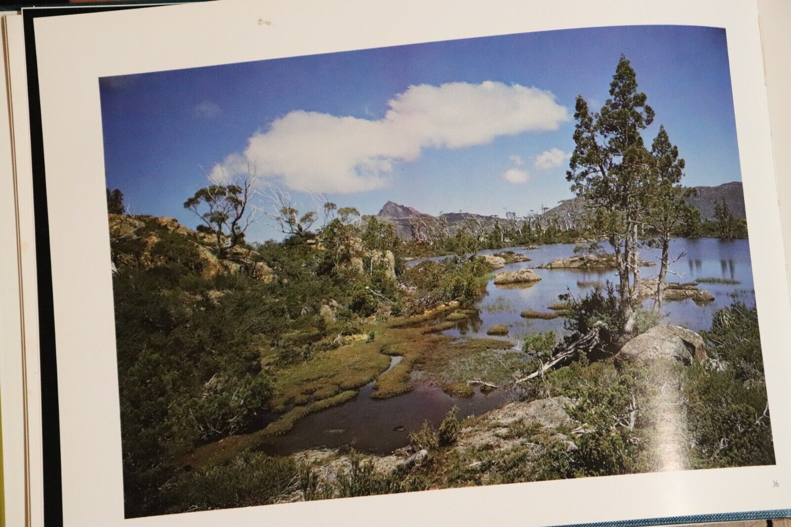 1976 Cradle Country: A Tasmanian Wilderness 1st Edition Australian History Book