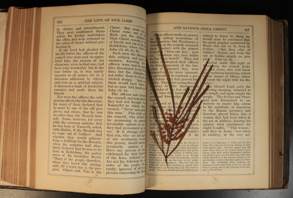 33ed2249-7db9-4d4c-b3ea-03acf3be3050