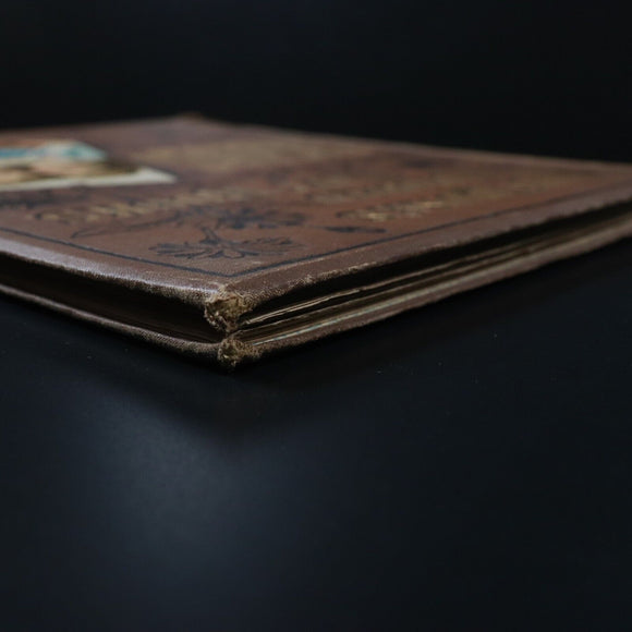 c1880 Aunt Louisa's Our Favourites Antique Children's Book Plates by Kronheim